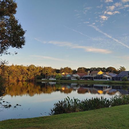 Cozy And Conveniently Located Pool Home With Free Wifi Tampa Exterior photo