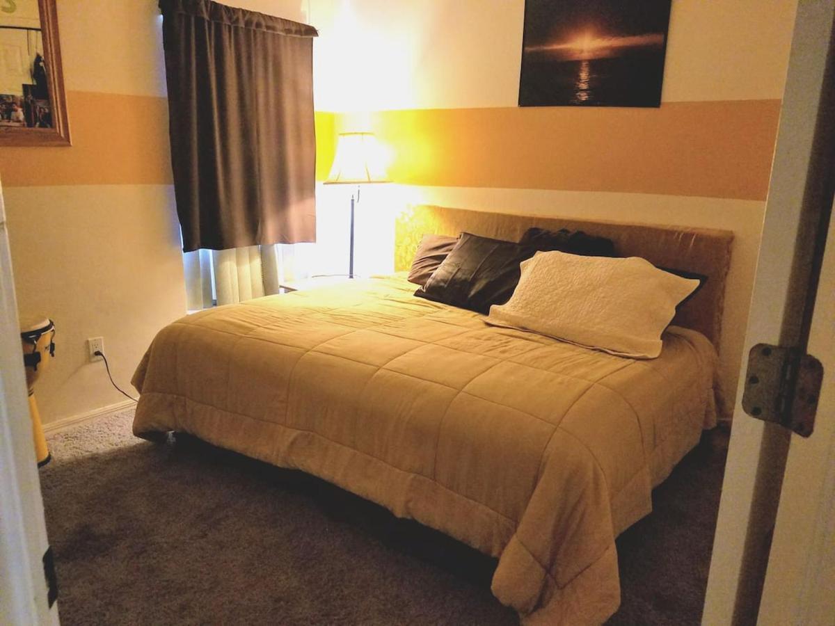 Cozy And Conveniently Located Pool Home With Free Wifi Tampa Exterior photo